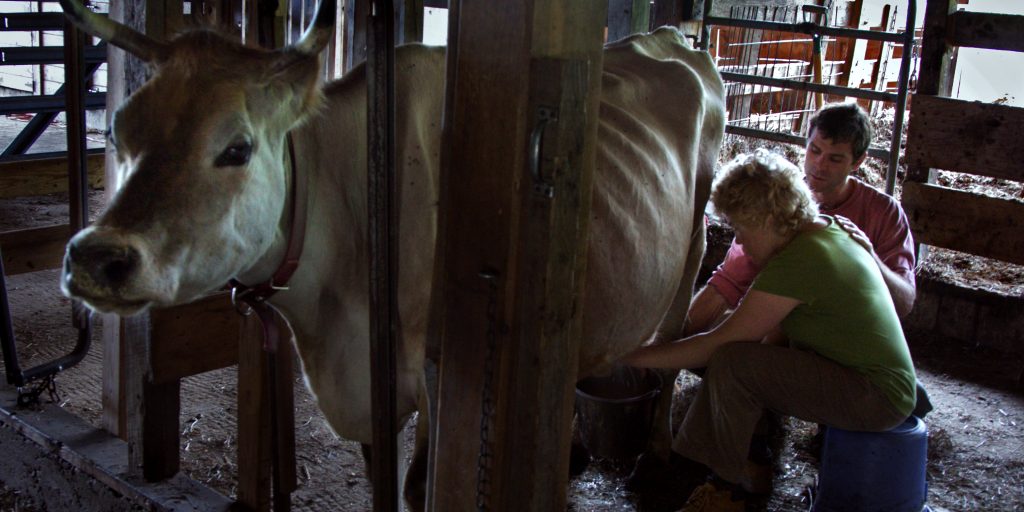 Plowshare Farm Camphill Association of North America