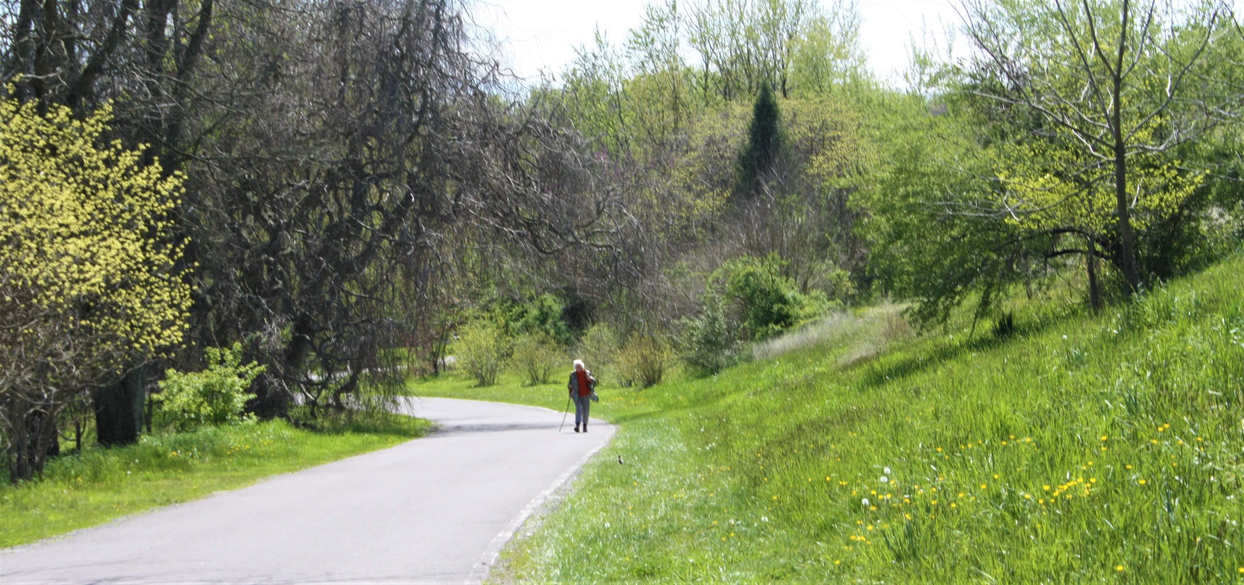 Helen Zipperlen, 92-year-old co-founder of Camphill Village Kimberton Hills, walking up the road on a beautiful spring day