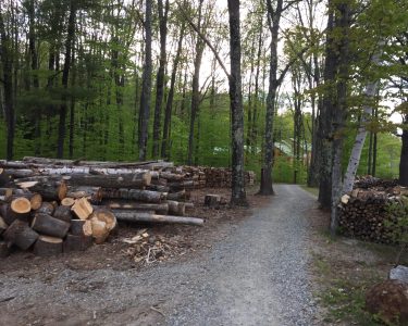 Gravel path through the woods. to the side is a pile of lumber and chopped firewood