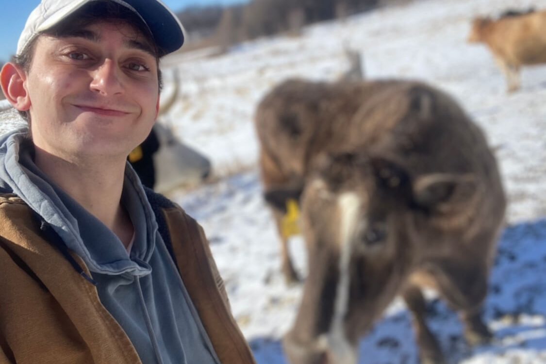 Nicolo and a cow from the Camphill Village Minnesota farm.