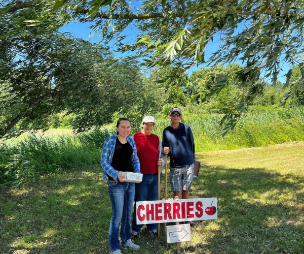 Elias stands on the right side of two of his friends. In front of them is a sign that says "cherries" and it is a beautiful sunny day